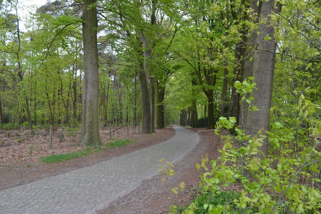 B&B 'T Heirweggoed Assenede Bagian luar foto