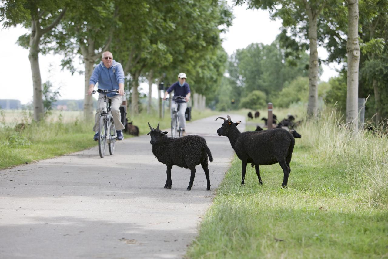 B&B 'T Heirweggoed Assenede Bagian luar foto